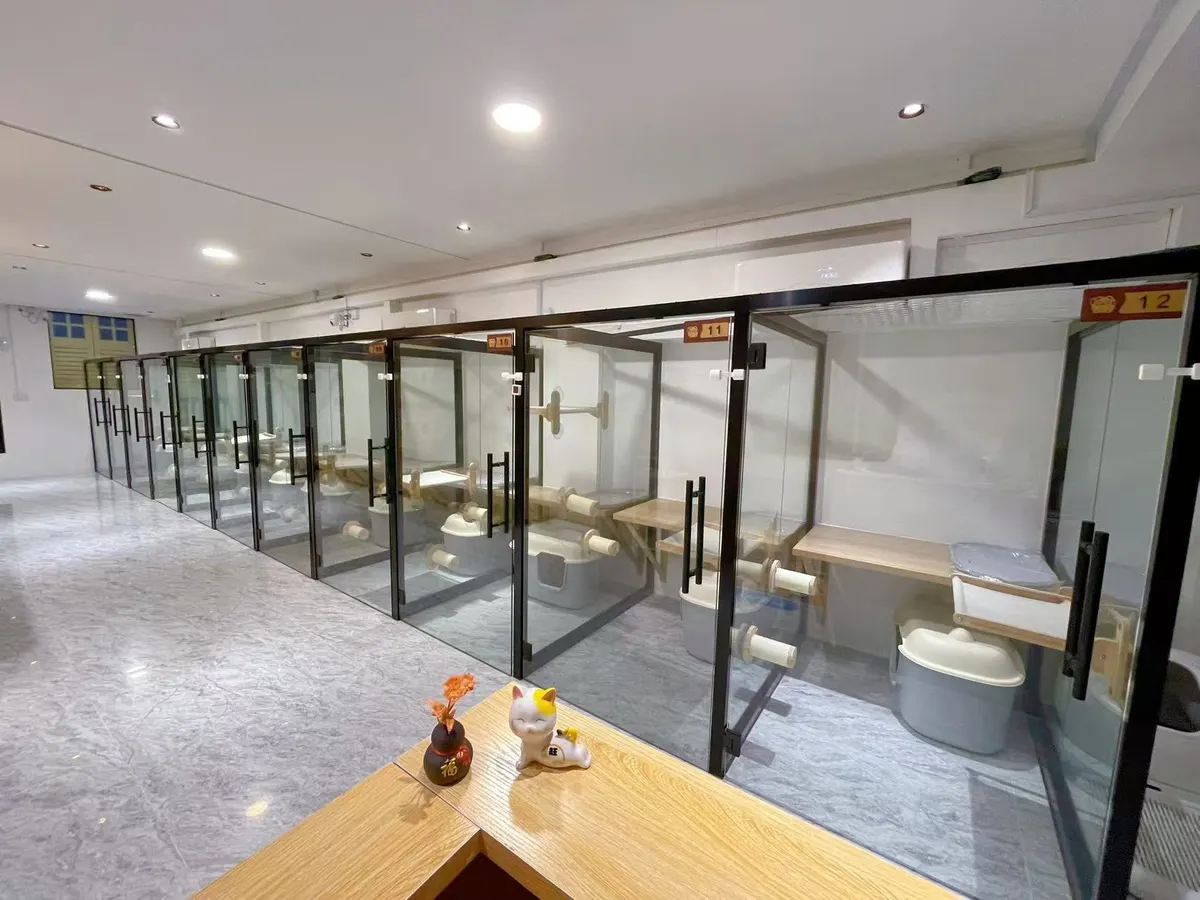 Catacure boarding suites