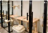 Boarding suites at Catacure